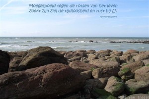 Foto - Tekst 41